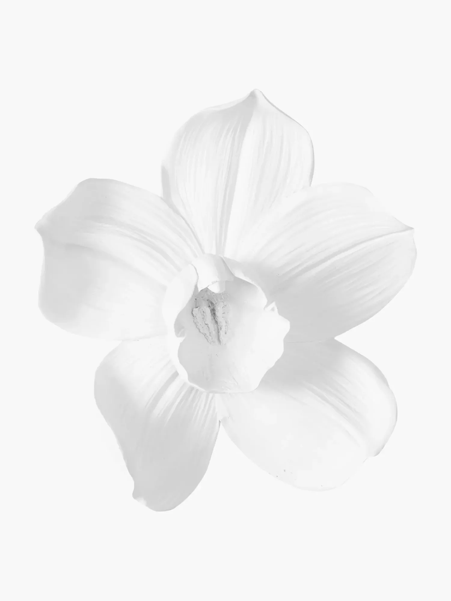 Outlet Dekoracja Scienna Orchid Ozdoby Na Ścianę