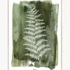 Shop Oprawiony Druk Cyfrowy White Fern Obrazy I Grafiki