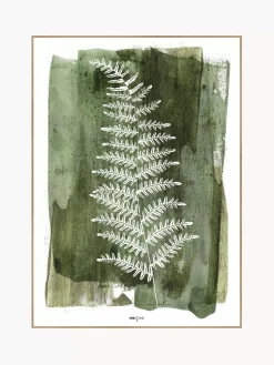 Shop Oprawiony Druk Cyfrowy White Fern Obrazy I Grafiki
