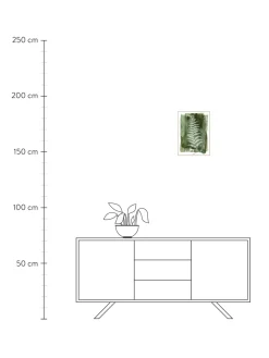 Shop Oprawiony Druk Cyfrowy White Fern Obrazy I Grafiki