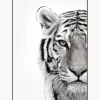 Flash Sale Oprawiony Druk Cyfrowy White Tiger Obrazy I Grafiki