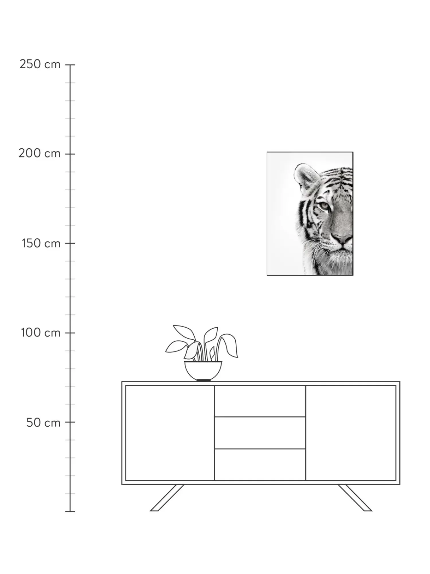 Flash Sale Oprawiony Druk Cyfrowy White Tiger Obrazy I Grafiki