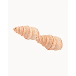 &k amsterdam Młynki Do Przypraw>Recznie Malowany Komplet Solniczki I Pieprzniczki Z Dolomitu Shell, 2 Elem.